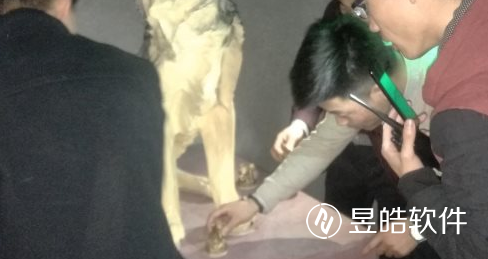 協(xié)同作戰(zhàn)，勇闖難關(guān)