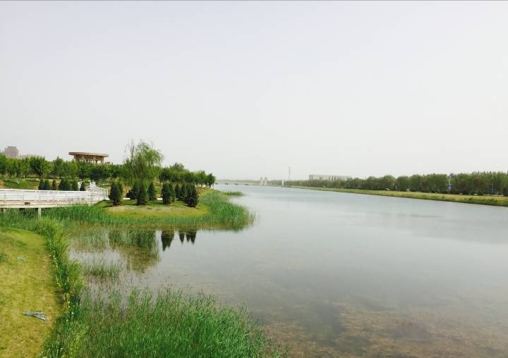 春暖花開日 春游正當(dāng)時