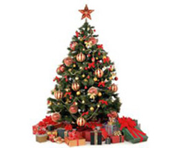 寧夏昱皓軟件圣誕主題活動